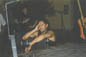 krems01t.jpg (6619 Byte)