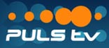 logo_puls.jpg (10584 Byte)