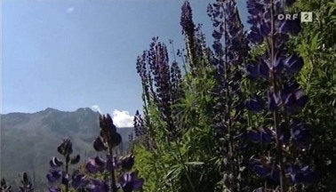 bild_002.jpg (28708 Byte)