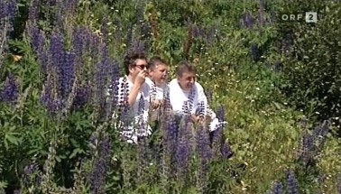 bild_006.jpg (43356 Byte)