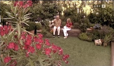 bild_006.jpg (35970 Byte)